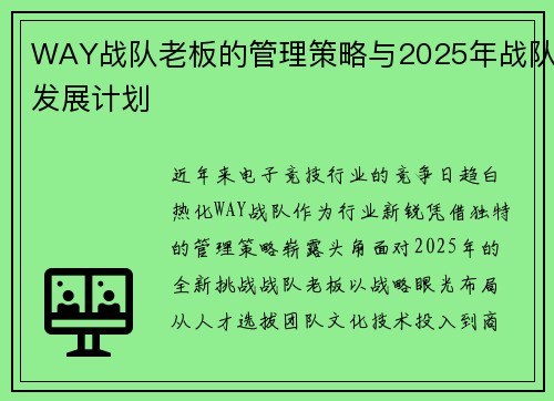 WAY战队老板的管理策略与2025年战队发展计划